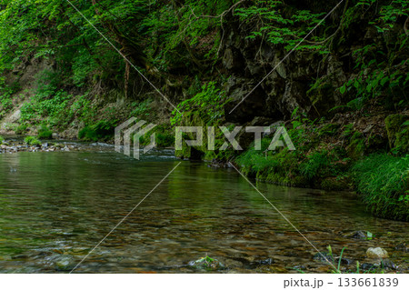 福島県南会津町・新緑に包まれた静かな渓流の風景 133661839