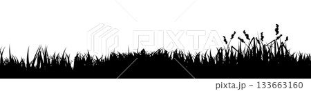 Meadow silhouette with grass, plants on plain. Panoramic summer lawn landscape with herbs, various weeds. Herbal border, frame element. Black horizontal banners. Vector illustration Meadow silhouette with grass, plants on plain. Panoramic summer lawn landscape with herbs, various weeds. Herbal border, frame element. Black horizontal banners. Vector illustration 133663160