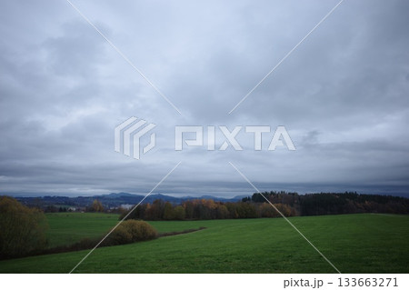 Cloudy Autumn Landscape with Green Fields and Forest 133663271