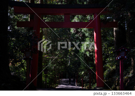 紅葉の芦ノ湖 箱根神社三の鳥居 紅葉の芦ノ湖 箱根神社三の鳥居 133663464