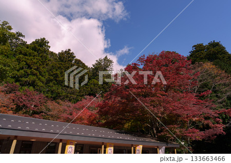 紅葉の芦ノ湖　箱根神社の紅葉 133663466