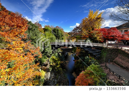 紅葉の猿橋① 133663598