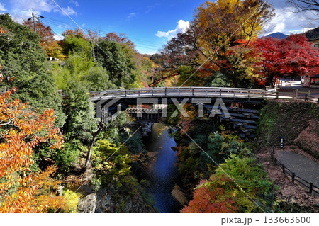 紅葉の猿橋③ 133663600