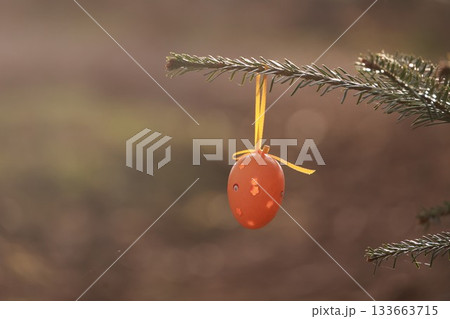 A small orange egg ornament hangs from a tree branch 133663715