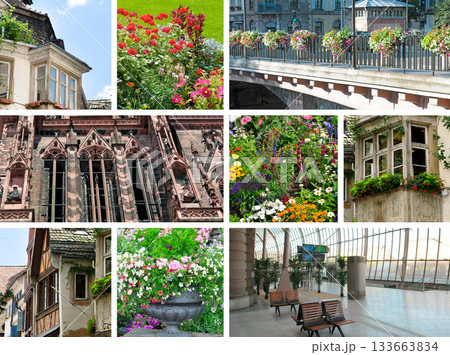 European City Collage: Architecture, Flowers, and Travel Hub Details European City Collage: Architecture, Flowers, and Travel Hub Details 133663834
