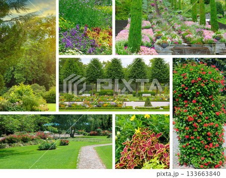 Garden and Park Design Collage with Various Floral and Greenery Views Garden and Park Design Collage with Various Floral and Greenery Views 133663840