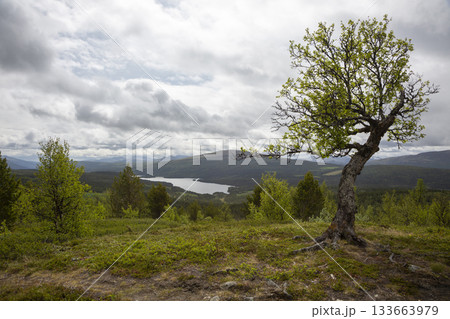 Serene view of Lake Flatningen from the slopes of Strondsaeterhoe mountain in Vang Municipality, Norway Serene view of Lake Flatningen from the slopes of Strondsaeterhoe mountain in Vang Municipality, Norway 133663979