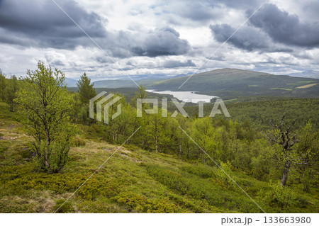 View of serene Lake Flatningen from the slopes of Strondsaeterhoe Mountain in Vang Municipality, Innlandet County, Norway View of serene Lake Flatningen from the slopes of Strondsaeterhoe Mountain in Vang Municipality, Innlandet County, Norway 133663980