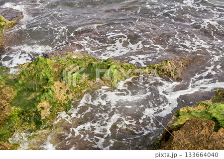 A rocky beach with seaweed and waves lapping on it A rocky beach with seaweed and waves lapping on it 133664040