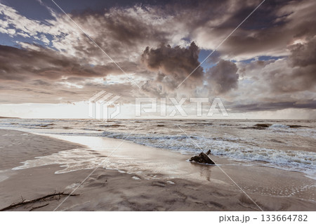 Dramatic sunset and tree root on beach 133664782