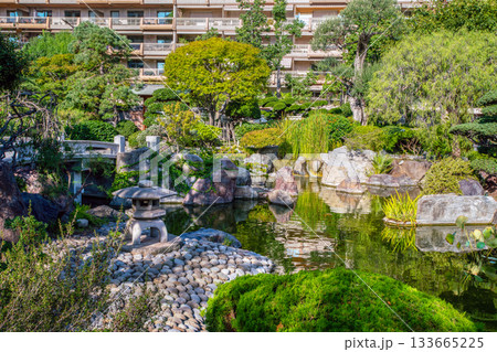 Pond in Japanese garden , in monaco (Monte Carlo) at summer Pond in Japanese garden , in monaco (Monte Carlo) at summer 133665225