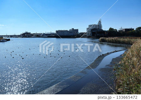 宮の渡し公園、海の風景 宮の渡し公園、海の風景 133665472
