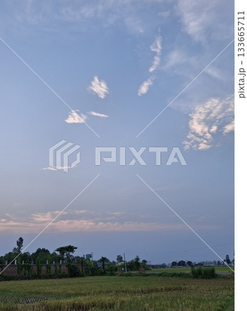 Golden hour sky over a rural landscape with wispy clouds 133665711
