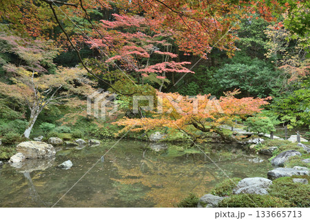 秋の南禅院 曹源池(京都市左京区) 秋の南禅院 曹源池(京都市左京区) 133665713