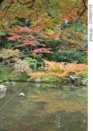 秋の南禅院 曹源池(京都市左京区) 秋の南禅院 曹源池(京都市左京区) 133665715