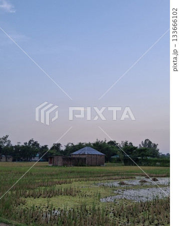 Peaceful rural landscape with a distant house under a vast sky Peaceful rural landscape with a distant house under a vast sky 133666102