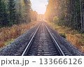 Railway line in the autumn forest. 133666126