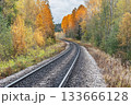 Railway line in the autumn forest. 133666128