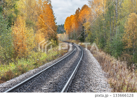 Railway line in the autumn forest. 133666128