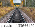 Railway line in the autumn forest. 133666129