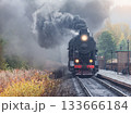 Steam retro train approaches to the platform. 133666184
