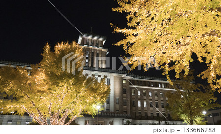 日本大通りのイルミネーションと銀杏の紅葉 133666288