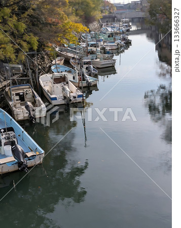 九華公園、ボート置き場 九華公園、ボート置き場 133666327