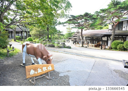 南ヶ丘牧場の牛のディスプレイ（栃木県） 133666545