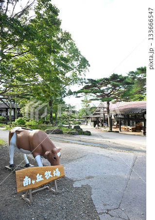 南ヶ丘牧場の牛のディスプレイ(栃木県) 南ヶ丘牧場の牛のディスプレイ(栃木県) 133666547