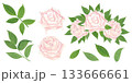 A set of delicate peach roses, fresh foliage, and individual elements for creating unique arrangements. The illustrations are done in watercolor. 133666661