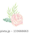A composition of delicate peach roses, fresh foliage of various types, and individual elements for creating unique compositions. The illustrations are done in watercolor. 133666663