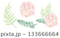 A set of delicate peach roses, fresh foliage of various types, and individual elements for creating unique arrangements. The illustrations are done in watercolor. 133666664