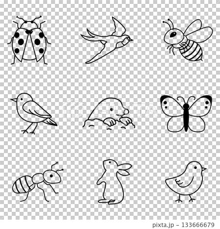 一組描繪春季動物和昆蟲的簡單線條畫插圖 一組描繪春季動物和昆蟲的簡單線條畫插圖 133666679