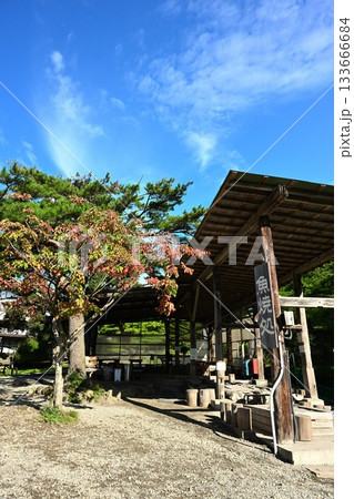 南ヶ丘牧場（栃木県） 133666684