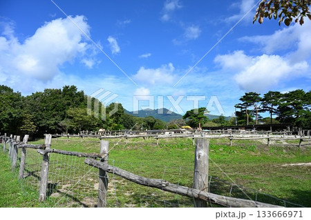 南ヶ丘牧場の放牧地（栃木県那須町） 133666971