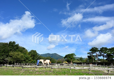 南ヶ丘牧場の放牧地（栃木県那須町） 133666974
