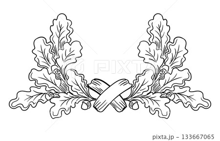 Hand drawn wreath of oak tree leaves vector isolated illustration 133667065