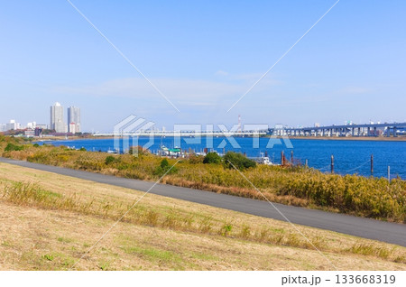 東京都荒川サイクリングロード沿いの風景2025年11月 133668319