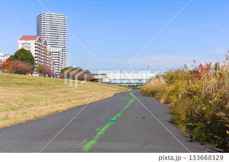 東京都荒川サイクリングロード沿いの風景2025年11月 133668329