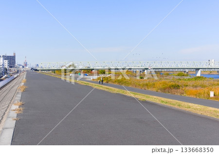 東京都荒川サイクリングロード沿いの風景2025年11月 133668350