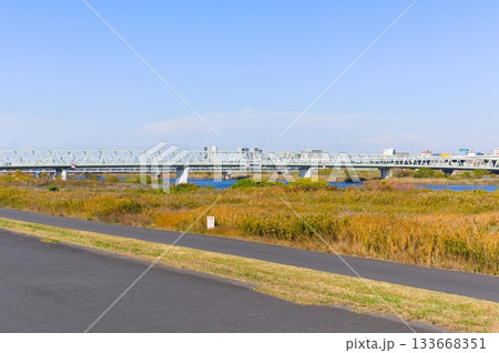 東京都荒川サイクリングロード沿いの風景2025年11月 133668351