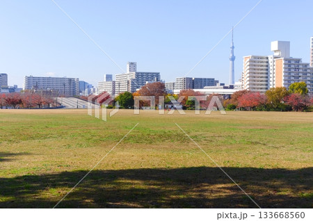 東京都江戸川区大島小松川公園周辺2025年11月 東京都江戸川区大島小松川公園周辺2025年11月 133668560