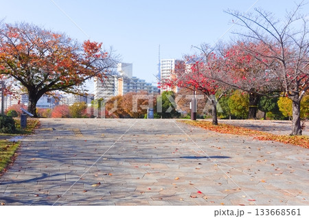 東京都江戸川区大島小松川公園周辺2025年11月 東京都江戸川区大島小松川公園周辺2025年11月 133668561