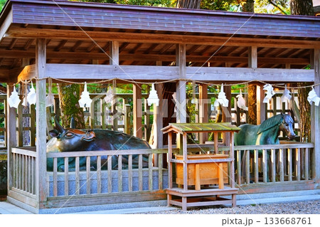 出雲大社 牛馬車の景観 出雲大社 牛馬車の景観 133668761