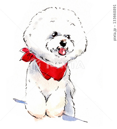 赤いバンダナをつけた白い犬のふんわり水彩イラスト 赤いバンダナをつけた白い犬のふんわり水彩イラスト 133668891