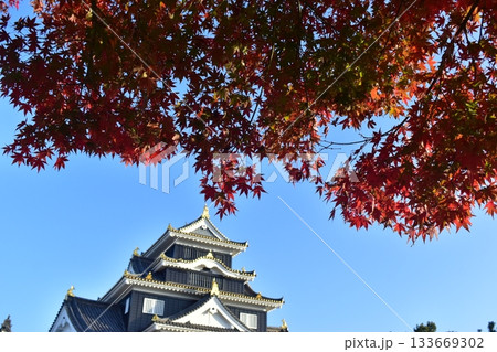 岡山城 城 岡山 岡山城 城 岡山 133669302