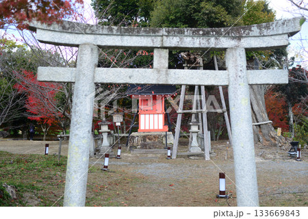 京都北嵯峨大沢池天神島御神木前の石鳥居 133669843