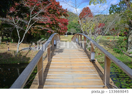 京都北嵯峨大沢池の小川に架かる名古曽橋-2 京都北嵯峨大沢池の小川に架かる名古曽橋-2 133669845