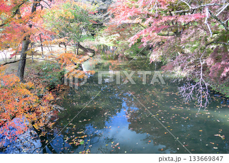 京都北嵯峨大沢池のもみじロード 京都北嵯峨大沢池のもみじロード 133669847