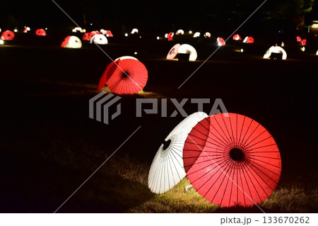 岡山 中国地方 後楽園 ライトアップ 岡山 中国地方 後楽園 ライトアップ 133670262